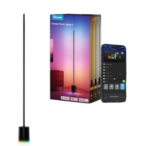 Govee Floor Lamp 2 RBBICWW